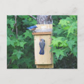 Erwärmung Postkarte (Vorderseite)