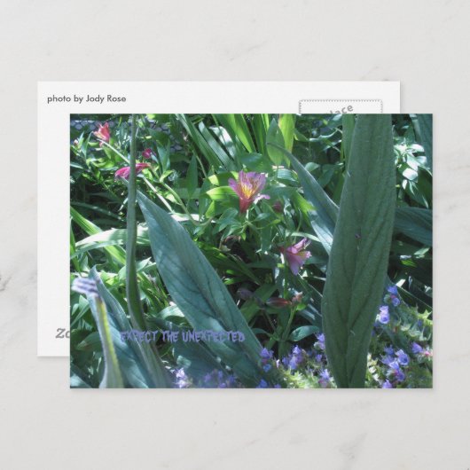 erwarten, dass postkarte (Vorne/Hinten)