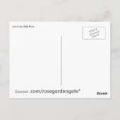 erwarten, dass postkarte (Rückseite)