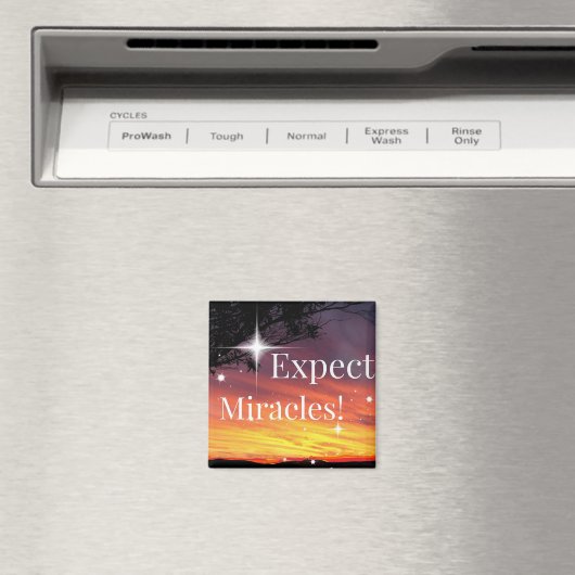 Erwarten Sie, dass Wunder das Sonnenuntergang spre Magnet (In Situ (Geschirrspüler))
