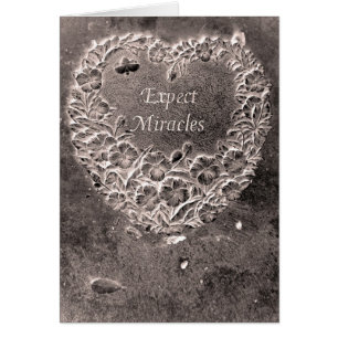 Erwarten Sie Wunder