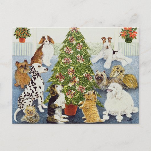 Erwartung Feiertagspostkarte (Vorderseite)