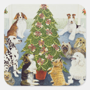 Erwartung Quadratischer Aufkleber