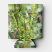 Erwecken des jungen Farns im Garten Dosenkühler (Vorderseite)