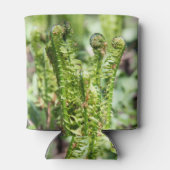 Erwecken des jungen Farns im Garten Dosenkühler (Rückseite)