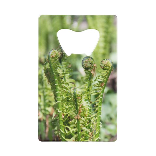 Erwecken des jungen Farns im Garten Geldbeutel Flaschenöffner (Rückseite)