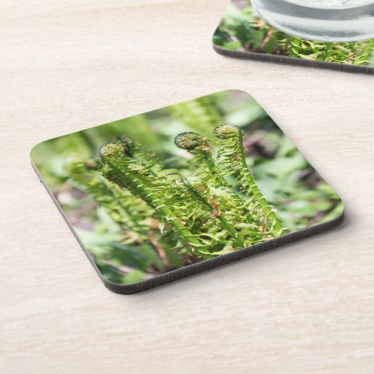 Erwecken des jungen Farns im Garten Getränkeuntersetzer (Linke Seite)