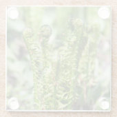 Erwecken des jungen Farns im Garten Glasuntersetzer (Rückseite)