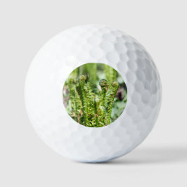 Erwecken des jungen Farns im Garten Golfball