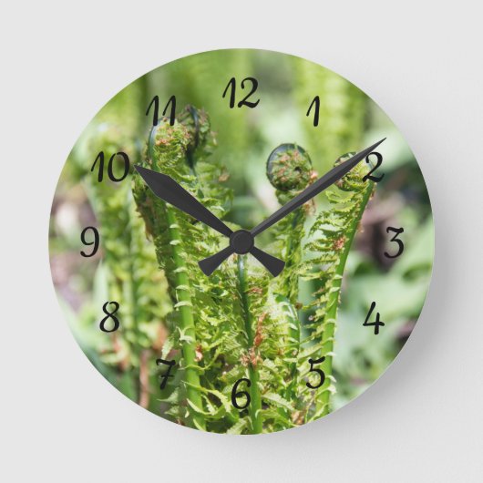 Erwecken des jungen Farns im Garten Runde Wanduhr (Vorderseite)