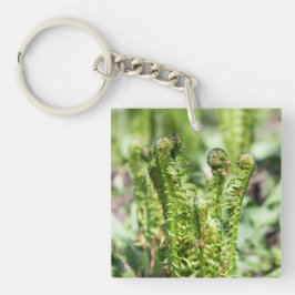 Erwecken des jungen Farns im Garten Schlüsselanhänger