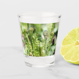 Erwecken des jungen Farns im Garten Schnapsglas