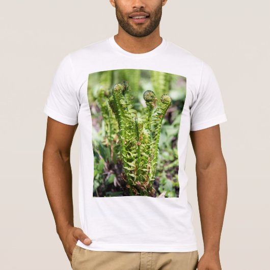 Erwecken des jungen Farns im Garten T-Shirt (Vorderseite)
