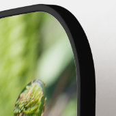 Erwecken des jungen Farns in der Gartenschau Pickleball Schläger (Linke Seite)