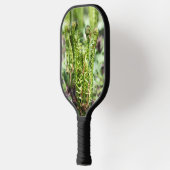 Erwecken des jungen Farns in der Gartenschau Pickleball Schläger (Links)