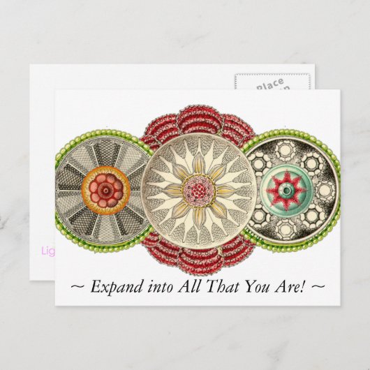 Erweitern Sie alles, was Sie sind Postcard! Postkarte (Vorne/Hinten)