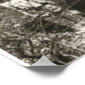 Erweitertes Familienportrait von Geronimo Poster (Ecke)