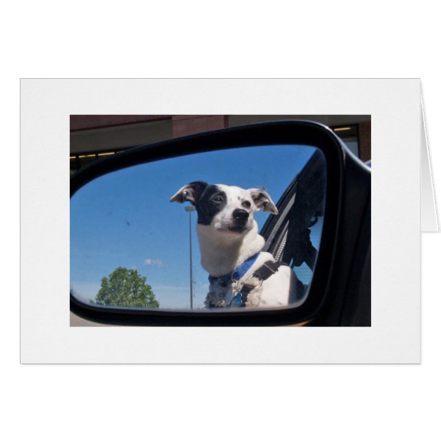 ERWEITERUNG (Vorderseite (Horizontal))