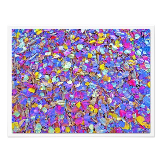 Erweiterung des Fotos Fotodruck (Vorne)