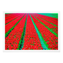 Erweiterung des Fotos Fotodruck