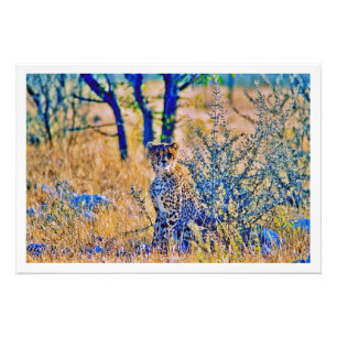 Erweiterung des Fotos Fotodruck