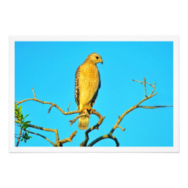 Erweiterung des Fotos Fotodruck