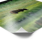 Erweiterung des Fotos Fotodruck (Ecke)