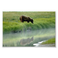 Erweiterung des Fotos