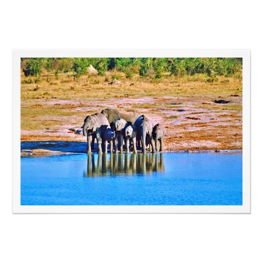 Erweiterung des Fotos Fotodruck (Vorne)