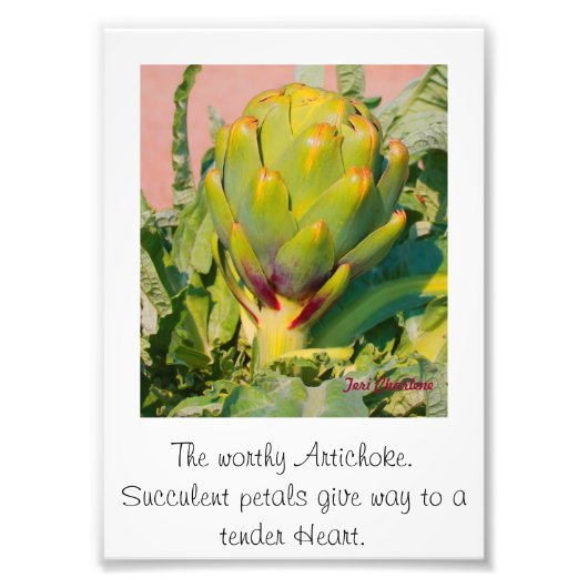 Erweiterung des Fotos Fotodruck (Vorne)