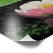 Erweiterung des Fotos Fotodruck (Ecke)