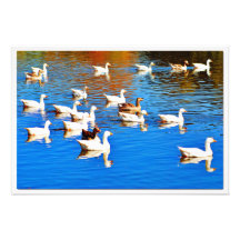 Erweiterung des Fotos