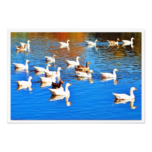 Erweiterung des Fotos Fotodruck (Vorne)