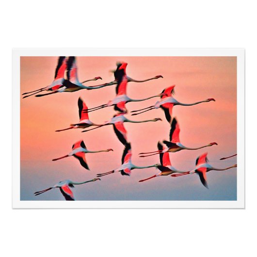 Erweiterung des Fotos Fotodruck (Vorne)