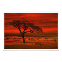 Erweiterung des Fotos Fotodruck