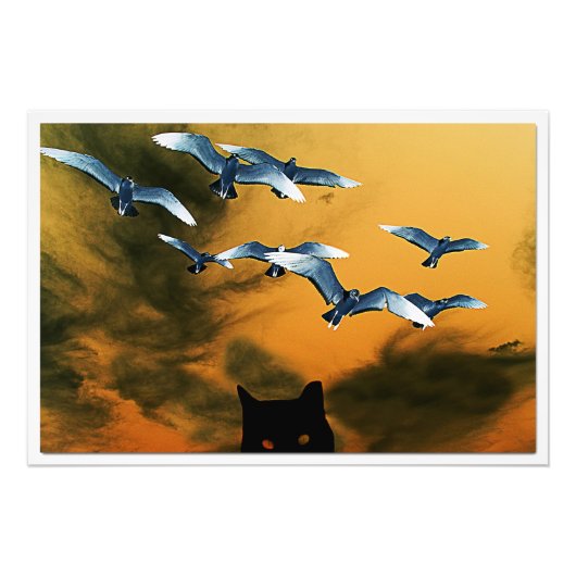 Erweiterung des Fotos Fotodruck (Vorne)