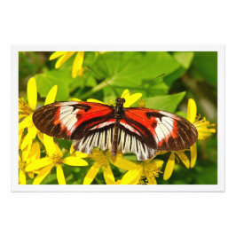 Erweiterung des Fotos Fotodruck