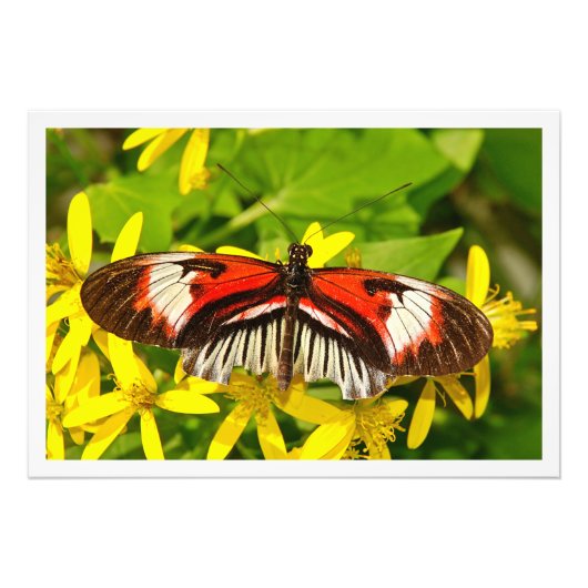 Erweiterung des Fotos Fotodruck (Vorne)