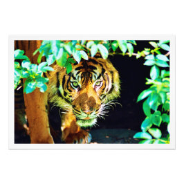 Erweiterung des Fotos Fotodruck