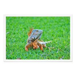 Erweiterung des Fotos Fotodruck