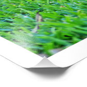 Erweiterung des Fotos Fotodruck (Ecke)