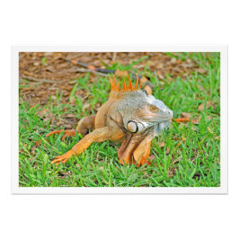 Erweiterung des Fotos Fotodruck