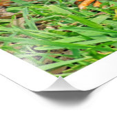 Erweiterung des Fotos Fotodruck (Ecke)