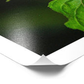 Erweiterung des Fotos Fotodruck (Ecke)