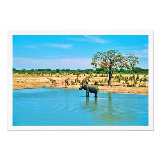 Erweiterung des Fotos Fotodruck (Vorne)