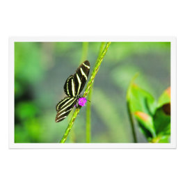 Erweiterung des Fotos Fotodruck