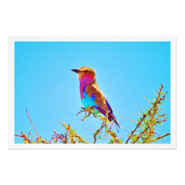 Erweiterung des Fotos Fotodruck