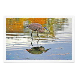 Erweiterung des Fotos Fotodruck