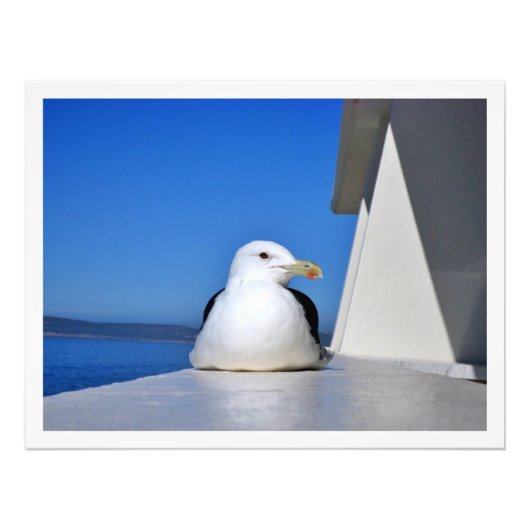 Erweiterung des Fotos Fotodruck (Vorne)