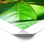 Erweiterung des Fotos Fotodruck (Ecke)